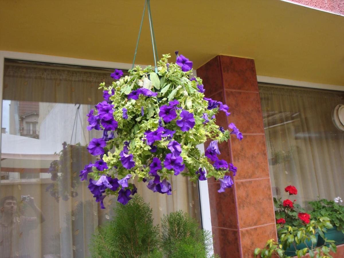 Hotel Color Varna Bagian luar foto